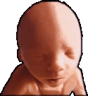 abortion index, abortion directory, pregnancy, clinic, abortionist, pregnancy,  fetus, pro-life, prolife, pro-choice, prochoice, feminist, woman, women, embryo, Christian, population control,  abortion survivors, reports, essays, school, violence, college, doctors,  sex, sexual, STD's, birth-control, abstience, adoption, adopt, parent, mother, father, education,  abortion opinions, abortion articles,  human life,  abortiontv,  AIDS,  abortion procedures, abortion history, abortion politics,  abortion appointmentabortion prochoice abortion abortion abortion aborted abortion prochoice