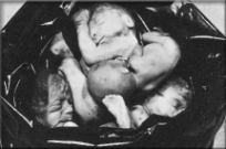 abortion prochoice