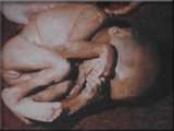 abortion prochoice