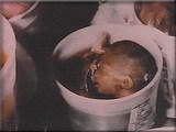 abortion prochoice
