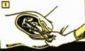 prochoice, pro-choice, abortion, abortionist, women, woman, fetal, pregnancy, prolife, pro-life, anti-abortion, fetus, embryo, anti-life, clinic, doctor, pregnant, debate, feminist, information