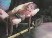 abortion abortion index, abortion directory, pregnancy, clinic, abortionist, pregnancy,  fetus, pro-life, prolife, pro-choice, prochoice, feminist, woman, women, embryo, Christian, population control,  abortion survivors, reports, essays, school, violence, college, doctors,  sex, sexual, STD's, birth-control, abstience, adoption, adopt, parent, mother, father, education,  abortion opinions, abortion articles,  human life,  abortiontv,  AIDS,  abortion procedures, abortion history, abortion politics,  abortion appointmentabortion prochoice abortion abortion abortion aborted abortion prochoice prochoice abortion abortion abortion aborted abortion prochoice