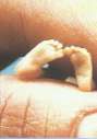 abortion abortion index, abortion directory, pregnancy, clinic, abortionist, pregnancy,  fetus, pro-life, prolife, pro-choice, prochoice, feminist, woman, women, embryo, Christian, population control,  abortion survivors, reports, essays, school, violence, college, doctors,  sex, sexual, STD's, birth-control, abstience, adoption, adopt, parent, mother, father, education,  abortion opinions, abortion articles,  human life,  abortiontv,  AIDS,  abortion procedures, abortion history, abortion politics,  abortion appointmentabortion prochoice abortion abortion abortion aborted abortion prochoice prochoice abortion abortion abortion aborted abortion prochoice