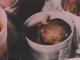 abortion abortion index, abortion directory, pregnancy, clinic, abortionist, pregnancy,  fetus, pro-life, prolife, pro-choice, prochoice, feminist, woman, women, embryo, Christian, population control,  abortion survivors, reports, essays, school, violence, college, doctors,  sex, sexual, STD's, birth-control, abstience, adoption, adopt, parent, mother, father, education,  abortion opinions, abortion articles,  human life,  abortiontv,  AIDS,  abortion procedures, abortion history, abortion politics,  abortion appointmentabortion prochoice abortion abortion abortion aborted abortion prochoiceprochoice abortion abortion abortion aborted abortion prochoice