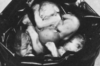 abortion abortion index, abortion directory, pregnancy, clinic, abortionist, pregnancy,  fetus, pro-life, prolife, pro-choice, prochoice, feminist, woman, women, embryo, Christian, population control,  abortion survivors, reports, essays, school, violence, college, doctors,  sex, sexual, STD's, birth-control, abstience, adoption, adopt, parent, mother, father, education,  abortion opinions, abortion articles,  human life,  abortiontv,  AIDS,  abortion procedures, abortion history, abortion politics,  abortion appointmentabortion prochoice abortion abortion abortion aborted abortion prochoiceprochoice abortion abortion abortion aborted abortion prochoice