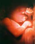abortion prochoice abortion index, abortion directory, pregnancy, clinic, abortionist, pregnancy,  fetus, pro-life, prolife, pro-choice, prochoice, feminist, woman, women, embryo, Christian, population control,  abortion survivors, reports, essays, school, violence, college, doctors,  sex, sexual, STD's, birth-control, abstience, adoption, adopt, parent, mother, father, education,  abortion opinions, abortion articles,  human life,  abortiontv,  AIDS,  abortion procedures, abortion history, abortion politics,  abortion appointmentabortion prochoice abortion abortion abortion aborted abortion prochoice