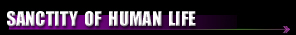 prochoice, pro-choice, abortion, abortionist, women, woman, fetal, pregnancy, prolife, pro-life, anti-abortion, fetus, embryo, anti-life, clinic, doctor, pregnant, debate, feminist, information