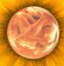 pregnancy informationfetus index, fetal directory, index, Fetal Development, Fetus, embryo, baby, newborn, abortion, pregnant, pregnancy, unborn, preborn, child, pro-life, prolife, infant, woman, women, family, children, child