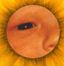 pregnancy informationfetus index, fetal directory, index, Fetal Development, Fetus, embryo, baby, newborn, abortion, pregnant, pregnancy, unborn, preborn, child, pro-life, prolife, infant, woman, women, family, children, child